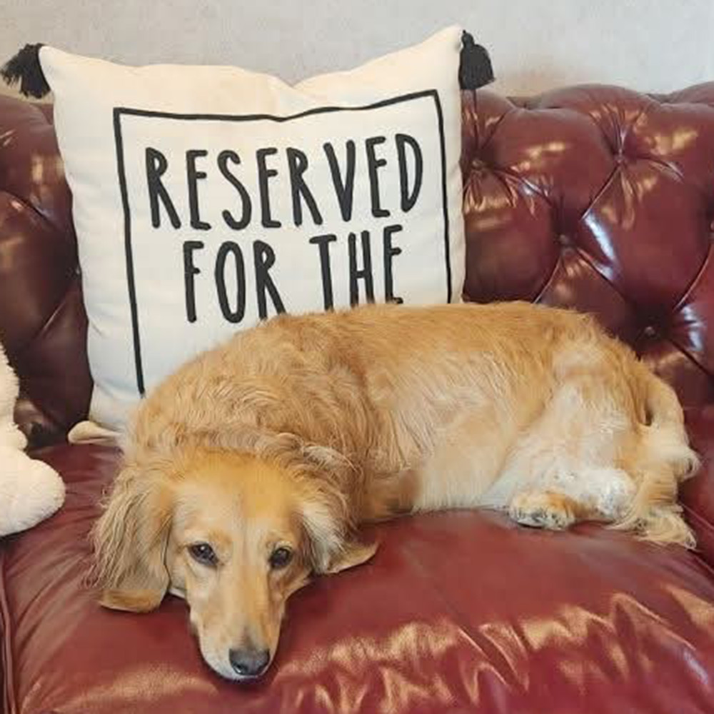 Britney on couch Britney on couch
